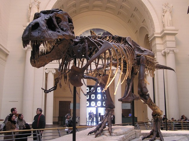 field-museum